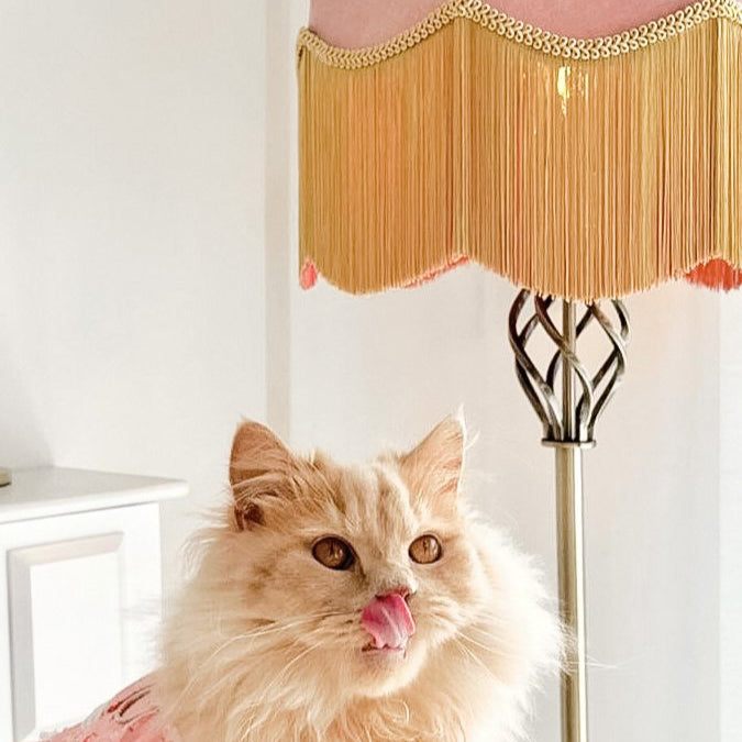 The Annabel Fringed Lampshade