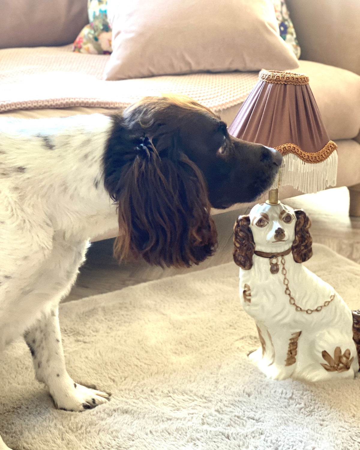 Springer spaniel meeting a Staffordshire dog lamp with a fringed shade